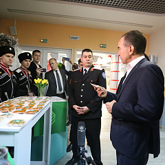 Наши казаки