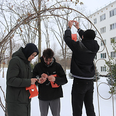 Поможем птицам