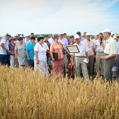 «День поля – 2012»