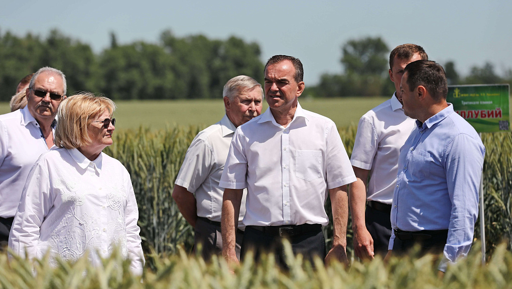 Учхоз "Кубань" принимал гостей со всей Кубани на ежегодное мероприятие "День поля"