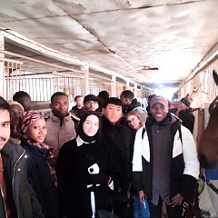 Путешествие иностранцев в конноспортивный клуб