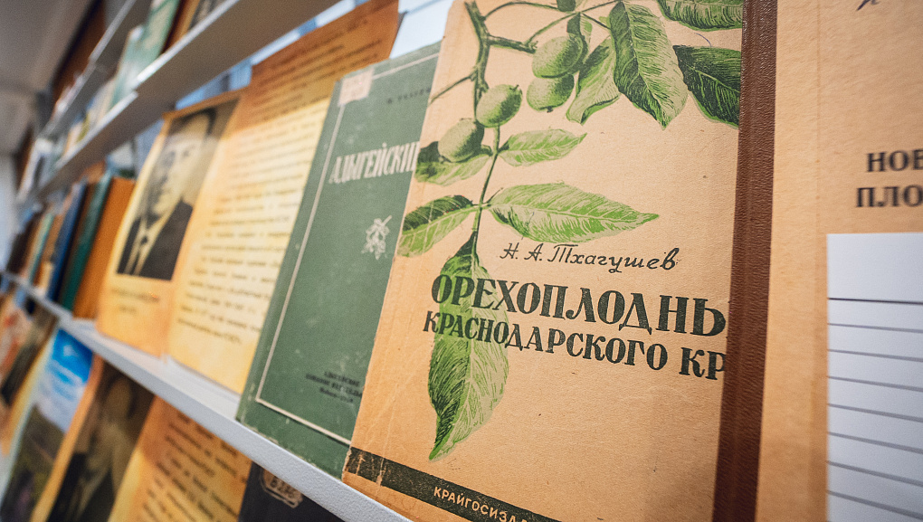 «Я горжусь!» 