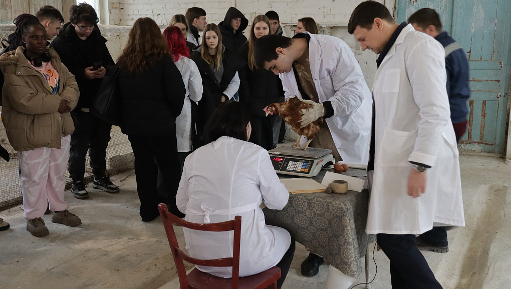 Студенты КУБГАУ изучили методологию научных опытов в Краснодарском научном центре по зоотехнии и ветеринарии