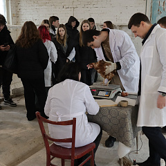 Студенты КУБГАУ изучили методологию научных опытов в Краснодарском научном центре по зоотехнии и ветеринарии