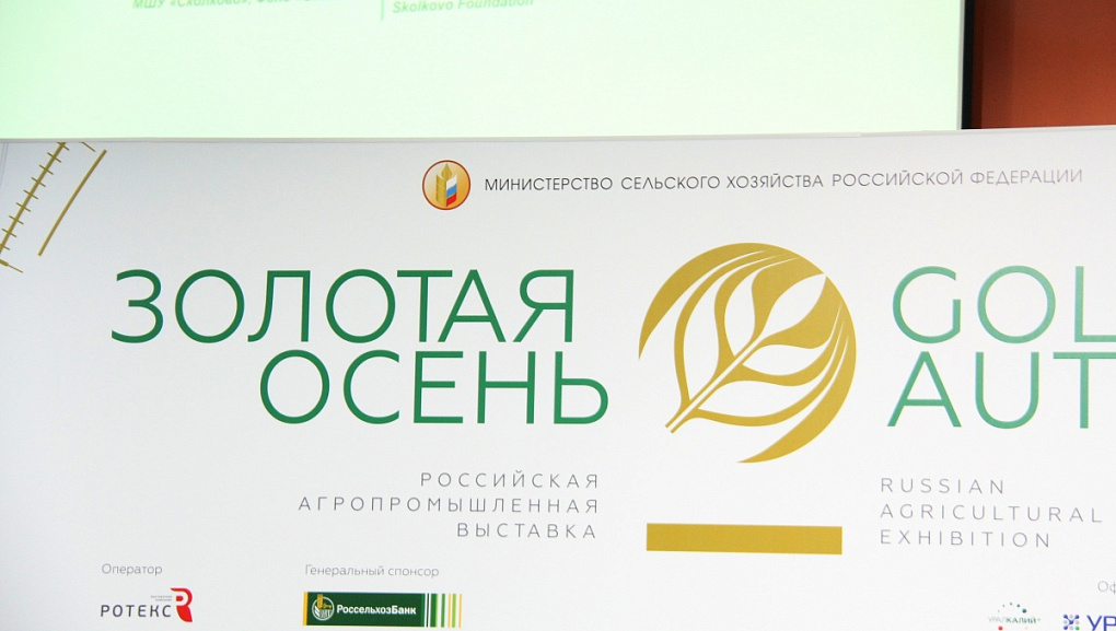 Золотая осень
