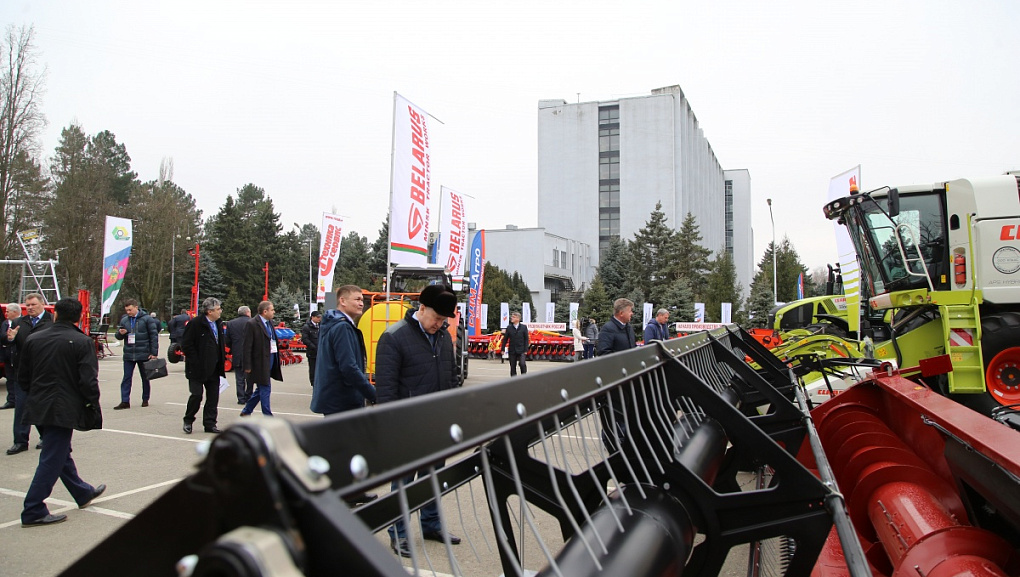 Началась работа выставки