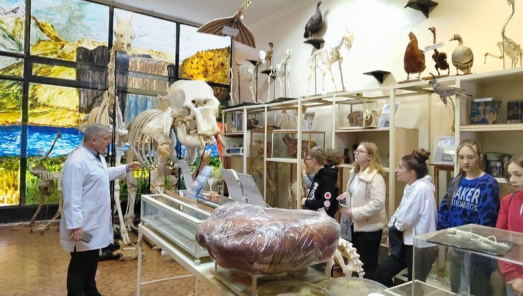 Школьники в гостях у ветеринарного факультета