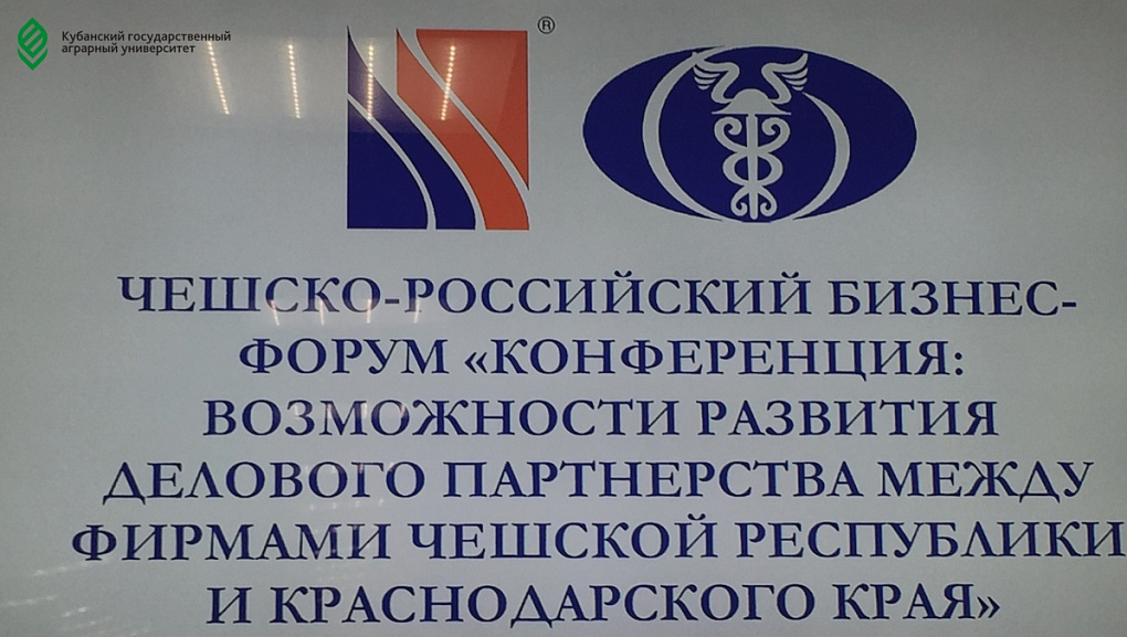 Чехия и Кубань за одним столом