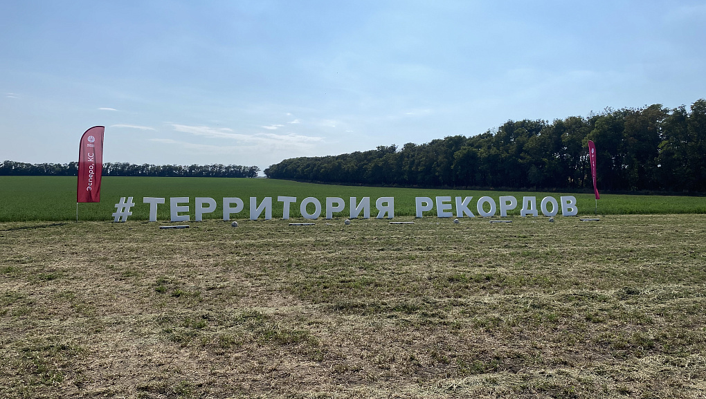 День поля: отечественные сорта, гибриды и агротехнологии.