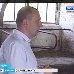 Учхоз «Краснодарское» принял гостей из городской думы