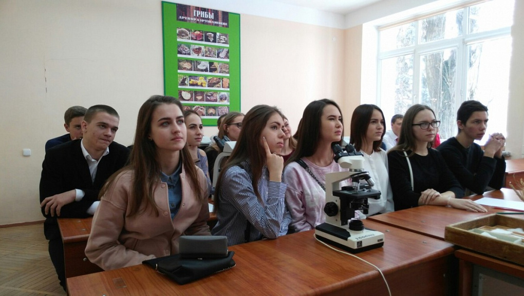 Навстречу будущей профессии