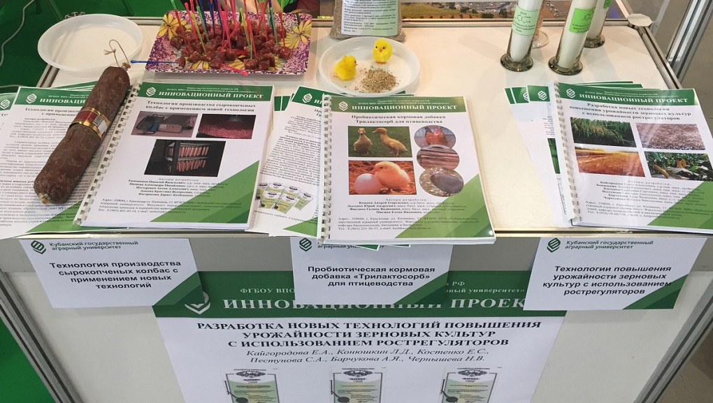 Наш вуз на «Архимеде»-2015