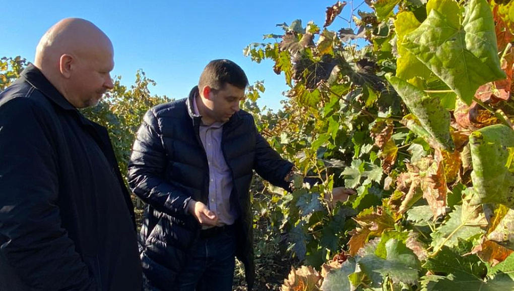 Кубанский ГАУ: полное соответствие требованиям международного стандарта СМК