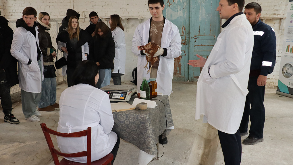 Студенты КУБГАУ изучили методологию научных опытов в Краснодарском научном центре по зоотехнии и ветеринарии