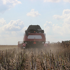 Students of the Faculty of Agrochemistry took part in the field agrotechnological conference