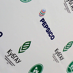 The Results of PepsiCo Scientific Summer School “Prospective leaders of AgroIndustry – 2018”