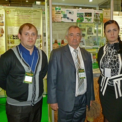 Золотая осень - 2012