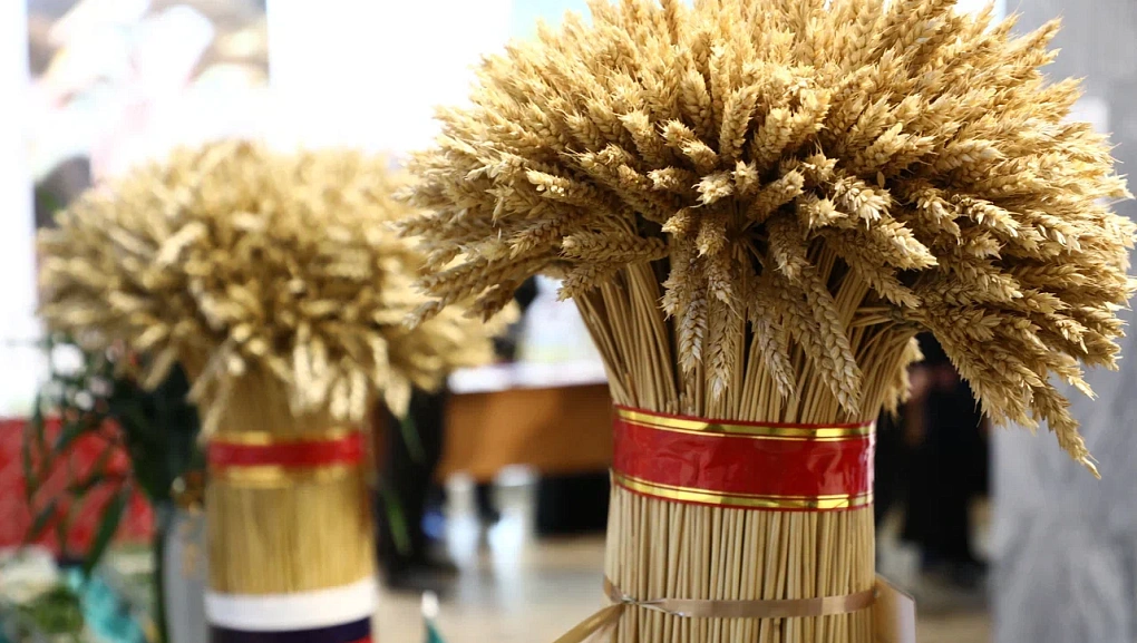 Губернатор Вениамин Кондратьев провёл предпосевное совещание в КубГАУ