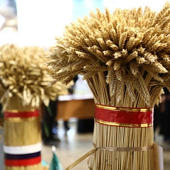 Губернатор Вениамин Кондратьев провёл предпосевное совещание в КубГАУ