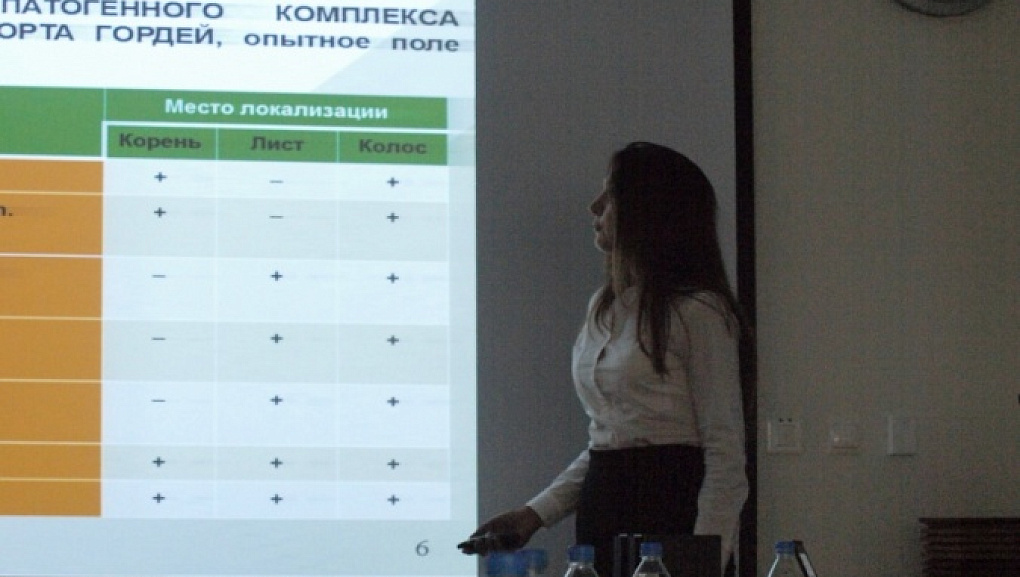 Талантливые, умные и красивые