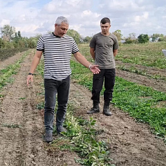 От теории к практике