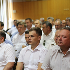 День поля
