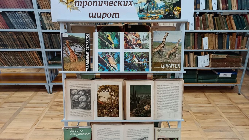 В плену тропических широт