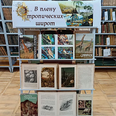 В плену тропических широт