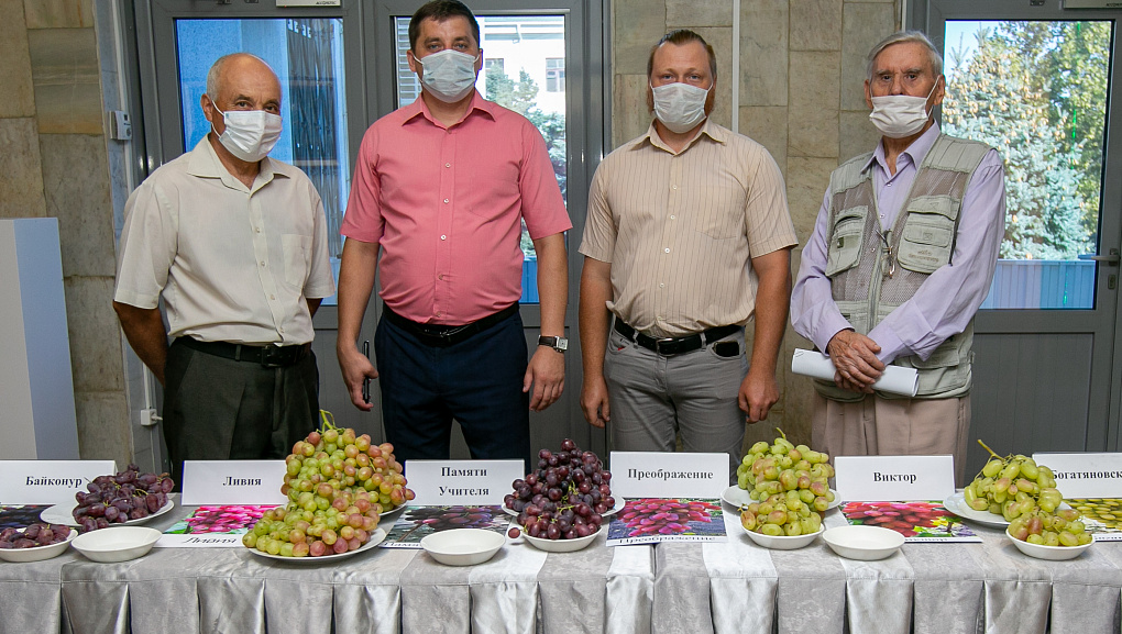 Достижения виноградарей 