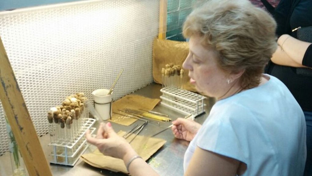 Студенты посетили институт риса