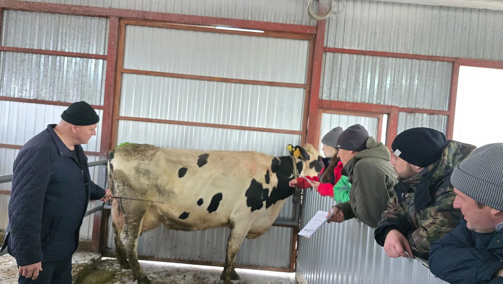 Оцениваем корову глазами эксперта: совершенствуемся вместе с лучшими специалистами отрасли