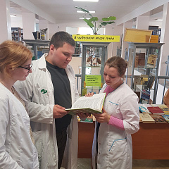 Книжная выставка "В чудесном мире пчёл"