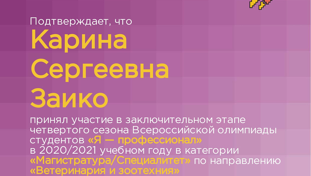 "Я – профессионал"