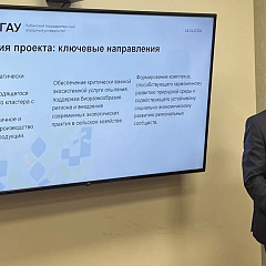 Про ИИ и проекты