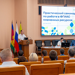 Навстречу инновациям