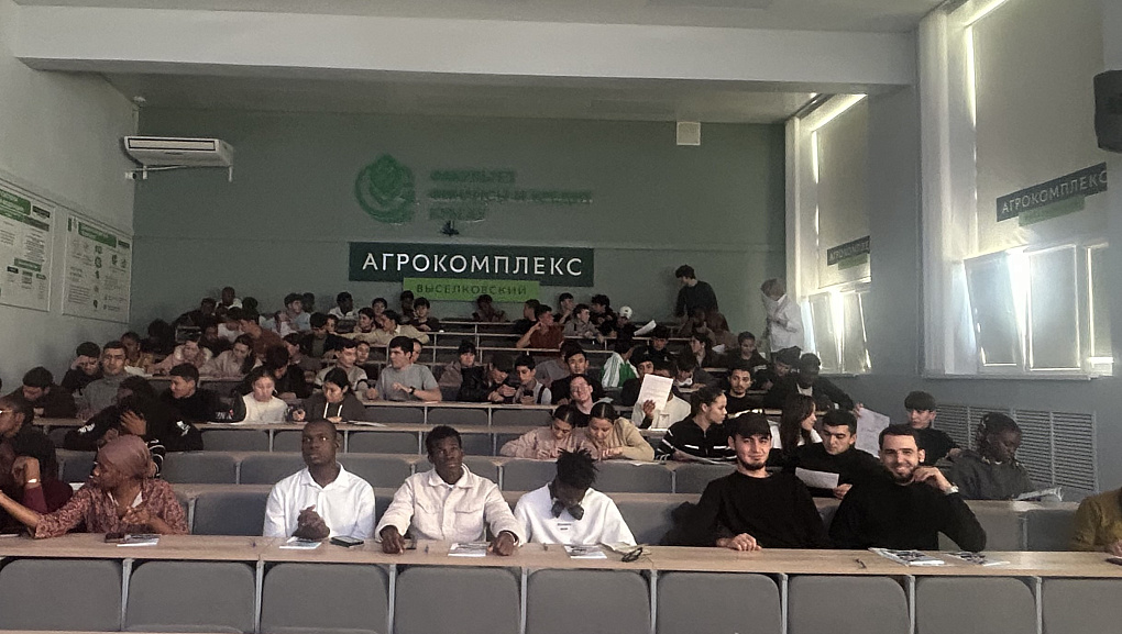 Первые шаги иностранца в Краснодарском крае: гайд по адаптации