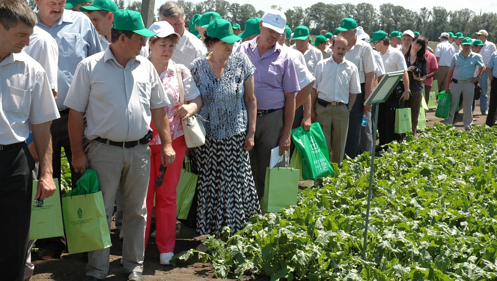 «День поля — 2013»