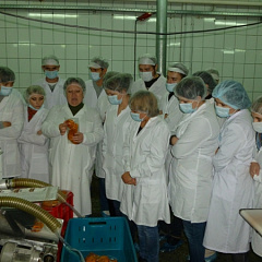 Путешествие в профессию