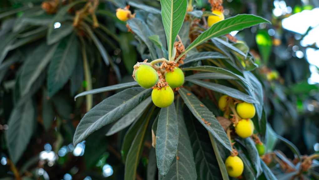 Пять дней погружения в науку