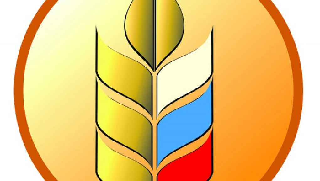 Победители во Всероссийском конкурсе на лучшую научную работу