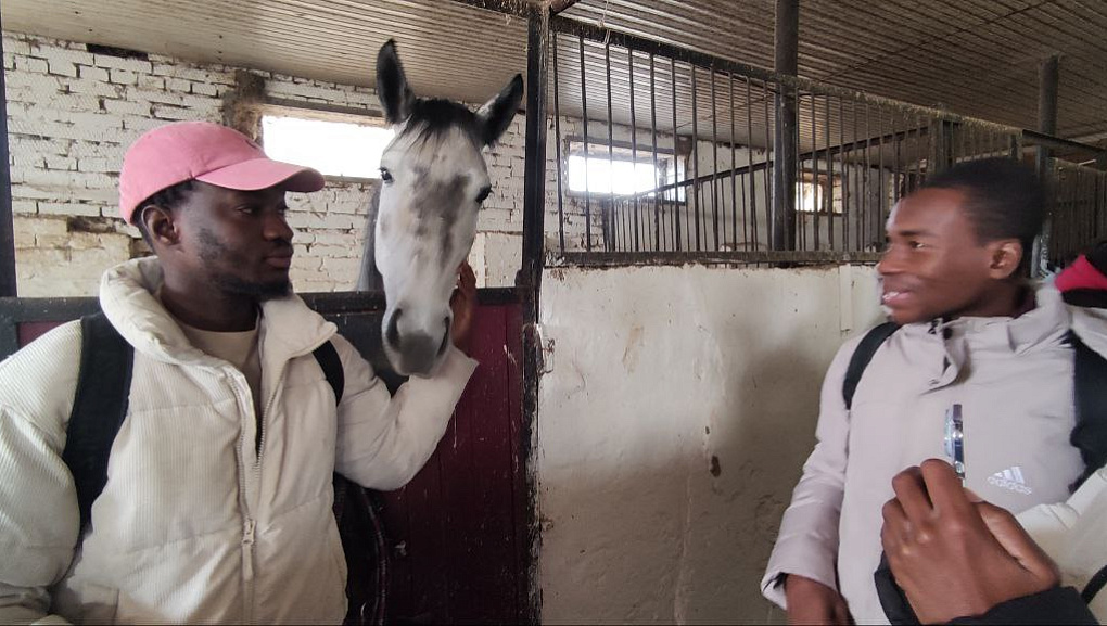 Путешествие иностранцев в конноспортивный клуб