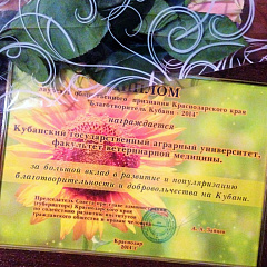 Свет добрых сердец