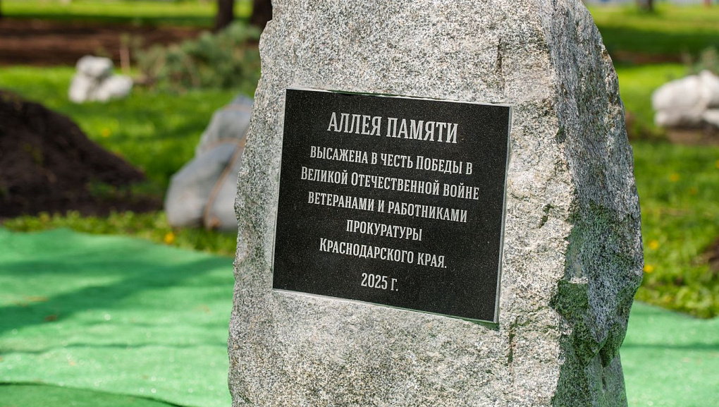 В Ботаническом саду КубГАУ открыли Аллею сосен в рамках акции «Сад Памяти»