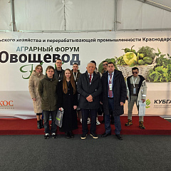 Овощеводство – стратегическая отрасль для Кубани и России