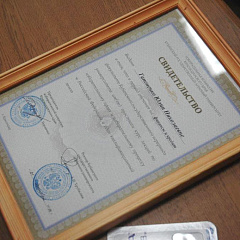 Знатоки избирательного права