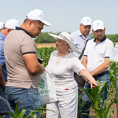День поля в КубГАУ