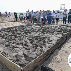 Море под защитой: итоги Конгресса и планы на будущее