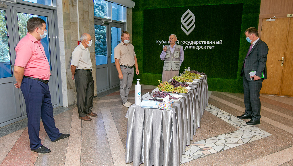 Достижения виноградарей 