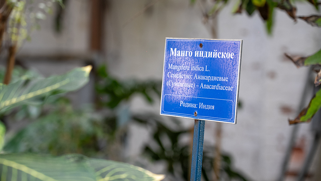 Пять дней погружения в науку