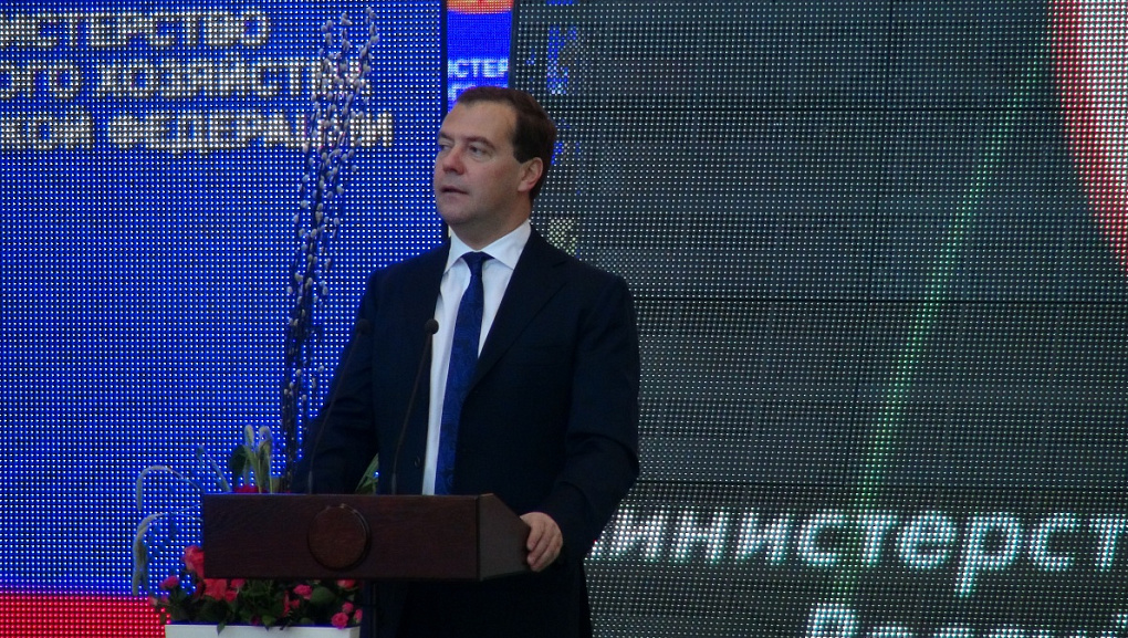 «Золотая осень — 2013»